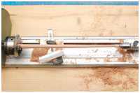 Verdickungen auf Spieren