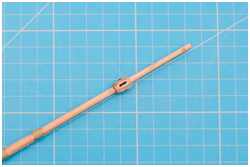 Verdickungen auf Spieren