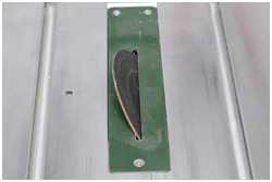 freistehende Schleifscheibe